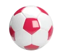 1lottery-sports